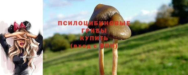 гидропоника Ладушкин