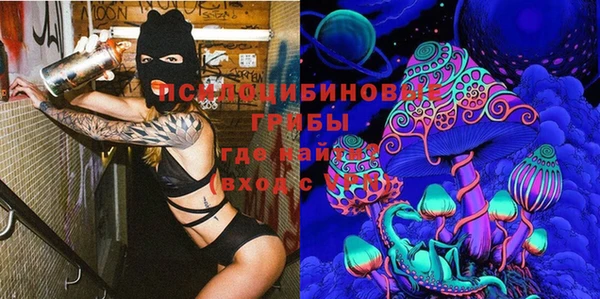 таблы Лиски